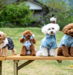 二人だけの物語を映像に