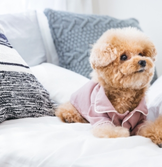 二人だけの物語を映像に