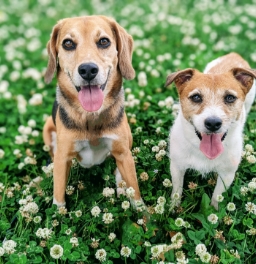 二人だけの物語を映像に