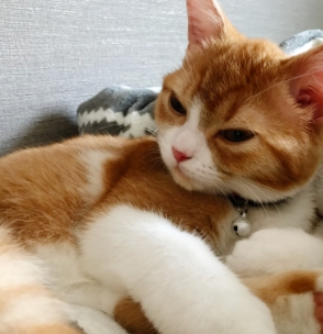 二人だけの物語を映像に