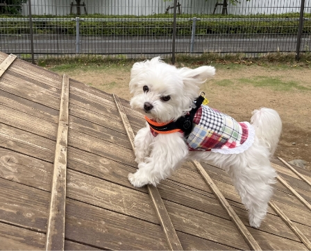 二人だけの物語を映像に