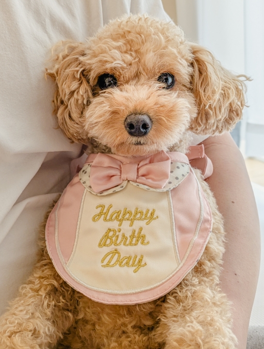 記念日のスタジオ撮影